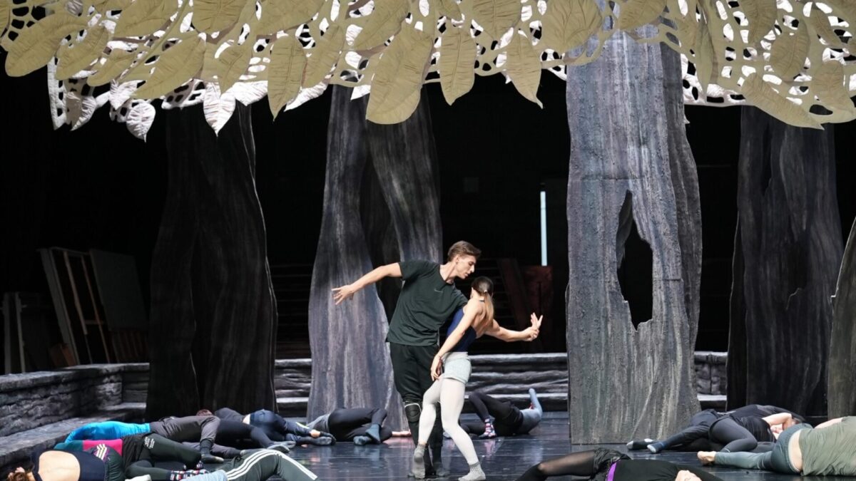 A new production of The Wooden Prince is presented by the Hungarian National Ballet
