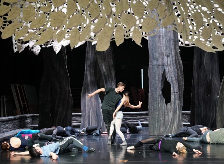 A new production of The Wooden Prince is presented by the Hungarian National Ballet