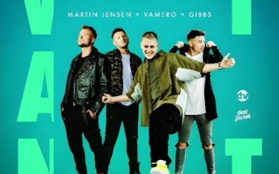 Martin Jensen Teams Up with Vamero and Gibbs on Yet Another Feel-Good House Anthem in ‘What A Night’