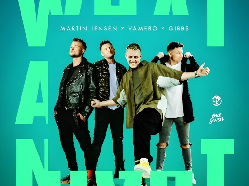 Martin Jensen Teams Up with Vamero and Gibbs on Yet Another Feel-Good House Anthem in ‘What A Night’