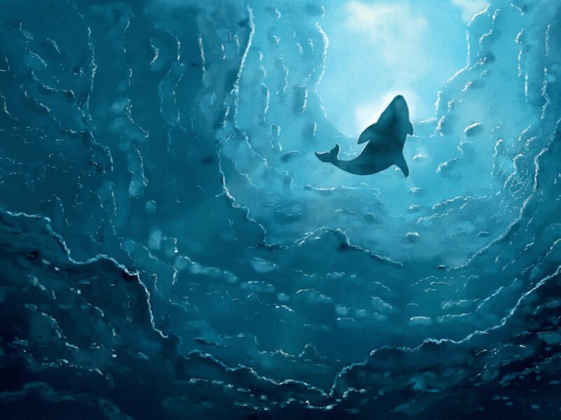 Le défi de la baleine bleue : Un « jeu » dangereux aux effets dévastateurs