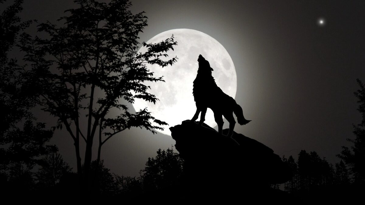 La Leyenda del Hombre Lobo