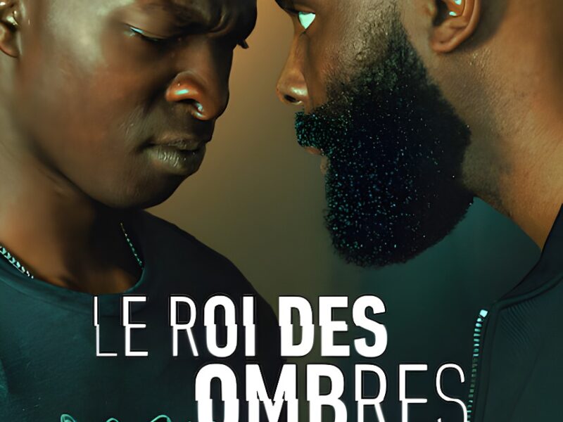 « Le Roi des Ombres ». Film sur Netflix. Critique : Un bon récit autour d&rsquo;un scénario solide