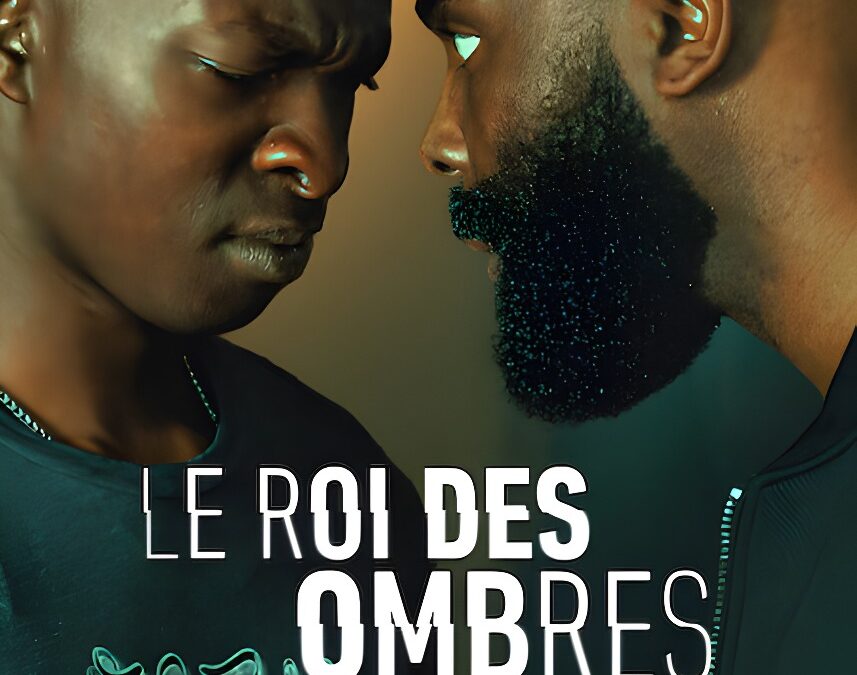 « Le Roi des Ombres ». Film sur Netflix. Critique : Un bon récit autour d&rsquo;un scénario solide