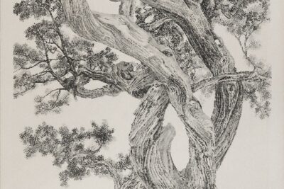 Bonhams Annonce La Vente De La Collection Michael Goedhuis En Mai Chez Bonhams À Londres