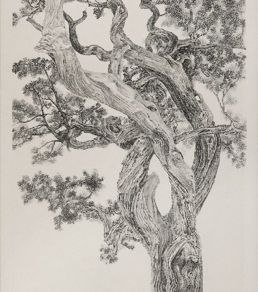 Bonhams Annonce La Vente De La Collection Michael Goedhuis En Mai Chez Bonhams À Londres