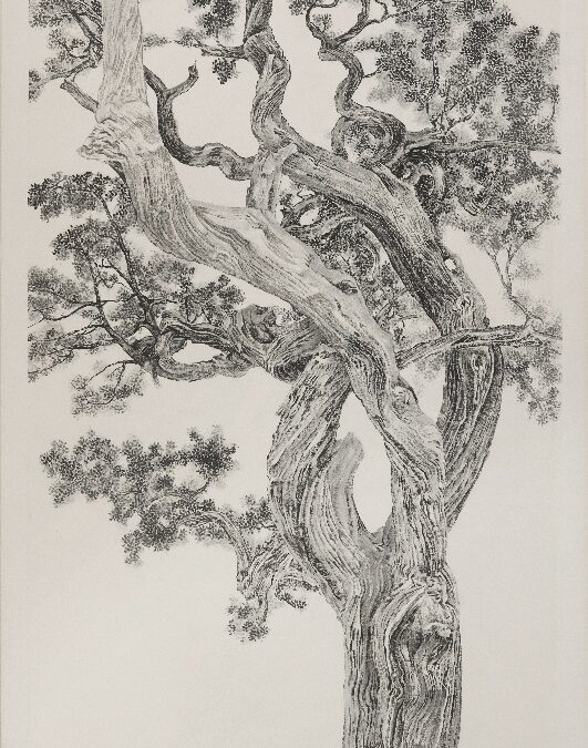 Bonhams Annonce La Vente De La Collection Michael Goedhuis En Mai Chez Bonhams À Londres