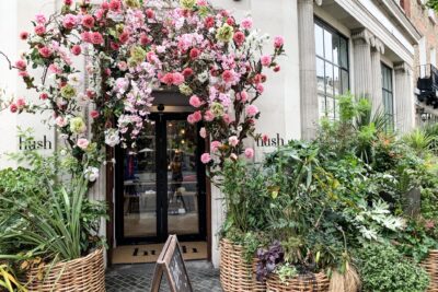 Floristry As A Science Of Art