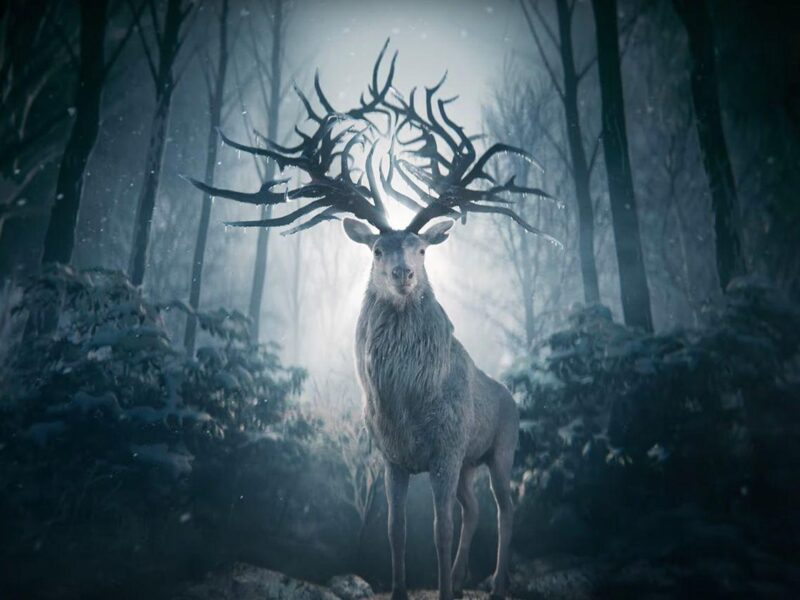 «Sombra y Hueso». Serie Netflix, Temporada 2: Adictiva Fantasía