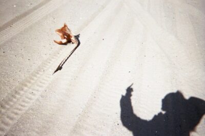 Present in a Lonely Image. Alexander Gray Associates Germantown