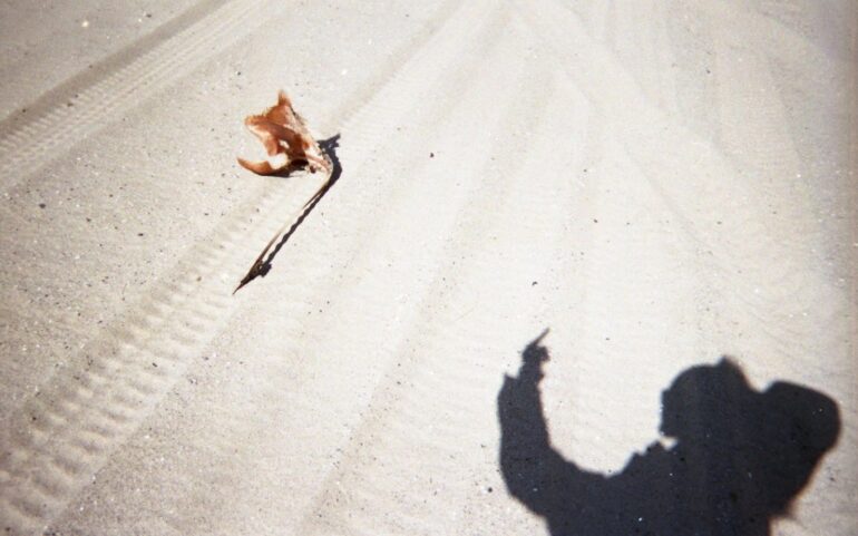 Present in a Lonely Image. Alexander Gray Associates Germantown