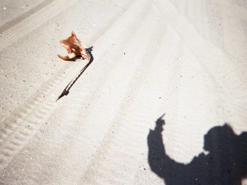 Present in a Lonely Image. Alexander Gray Associates Germantown