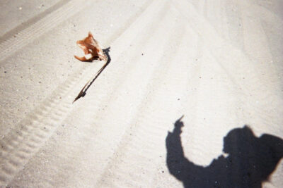 Present in a Lonely Image. Alexander Gray Associates, Germantown