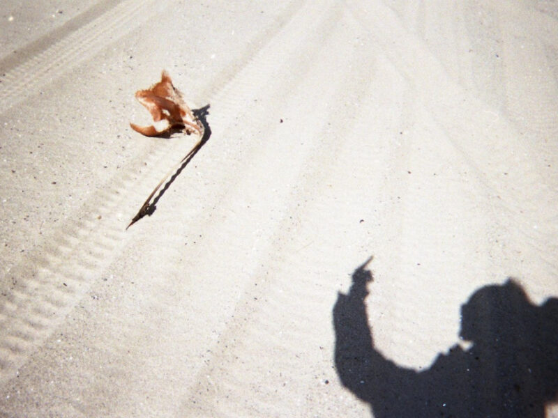 Present in a Lonely Image. Alexander Gray Associates, Germantown