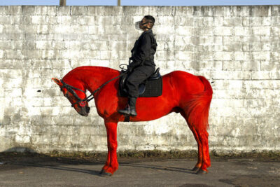 Dissident Practices of Brazilian Women Artists. Shiva Gallery