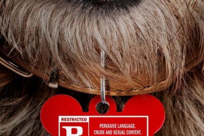 &lsquo;Strays&rsquo; (2023). Film comique avec Will Ferrer et Jamie Foxx. Voir la bande-annonce