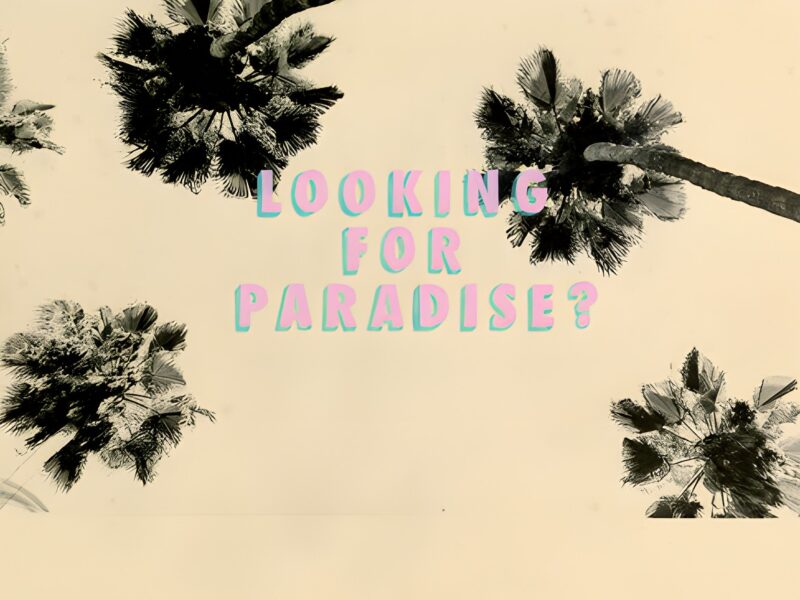 Bruno V. Roels: Looking for Paradise. Howard Greenberg Gallery. New York