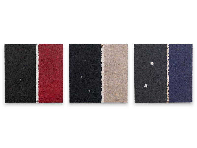 Samuel Levi Jones: Conscious Intuition. Galerie Lelong & Co.