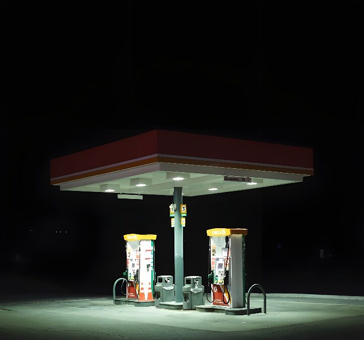 Carlos Leal. Fearless. Galerie Esther Woerdehoff