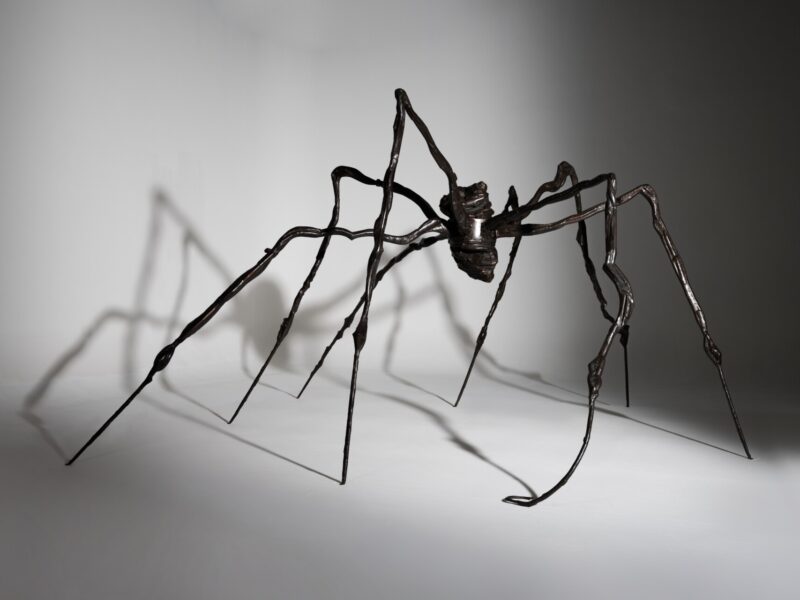 Une araignée à 32,8 millions de dollars bat des records chez Sotheby&rsquo;s