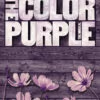 The Color Purple