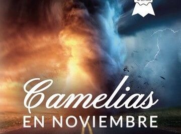 ‘Camelias en noviembre’, de María Rojas