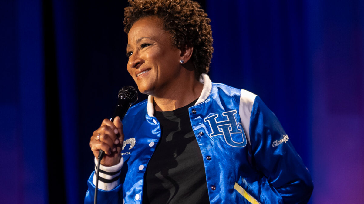 Wanda Sykes, the comedian who left a government job to spend forty years arguing with the country
