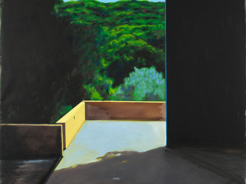 JÉRÉMY LIRON. Exposition dans la Galerie Isabelle Gounod