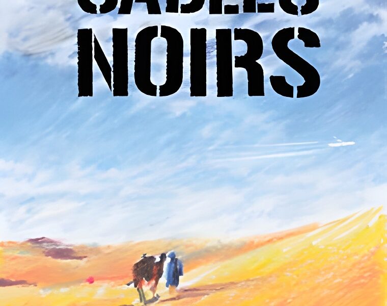 Hervé Giraud: l&rsquo;écrivain des ados