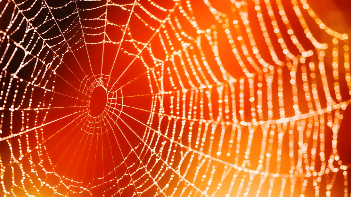 Spider-Verse Premiere: A Fantastic Journey into the Multiverse of Spider-Man