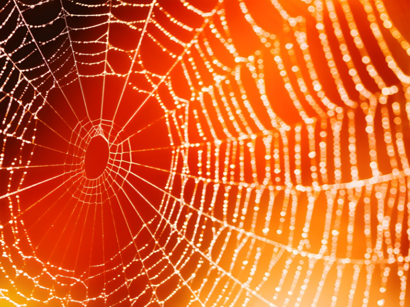 Spider-Verse Premiere: A Fantastic Journey into the Multiverse of Spider-Man