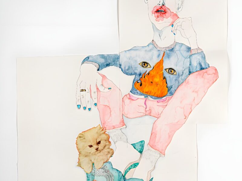 Marie Losier: Excesso Chamalo. Galerie Anne Barrault