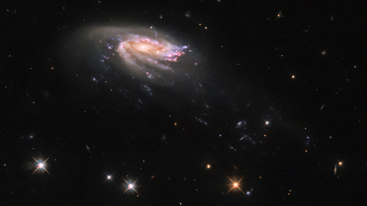 A Cosmic Sea Creature