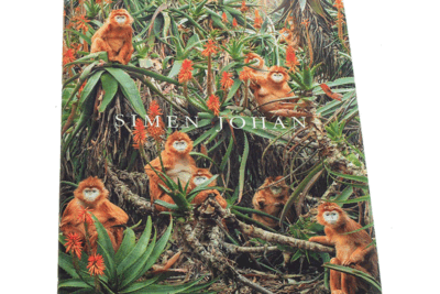 Simen Johan at Scandinavia House. Artist Talk and Book Signing