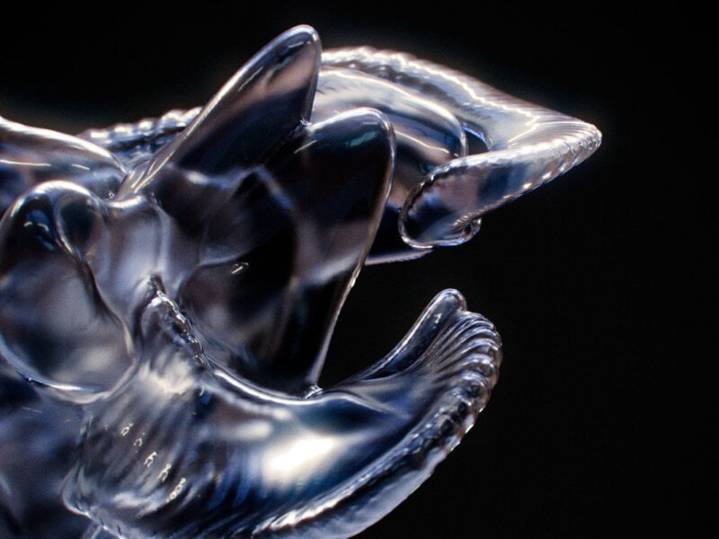 Lilian Steiner: Flesh and Diamonds. Gertrude Contemporary