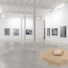 Ana Mendieta: Search for Origin at MO.CO. Panacée, Montpellier, France