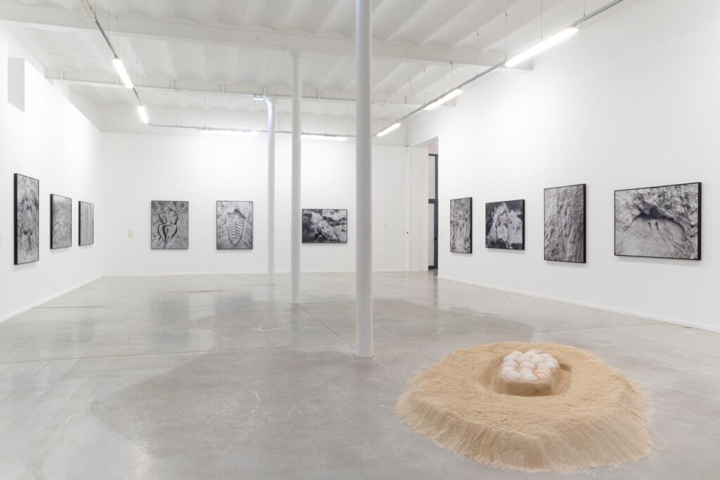 Ana Mendieta: Search for Origin at MO.CO. Panacée, Montpellier, France