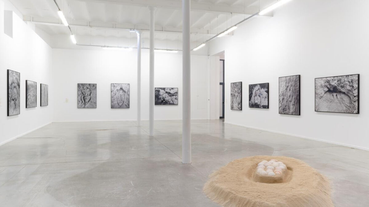 Ana Mendieta: Search for Origin at MO.CO. Panacée, Montpellier, France