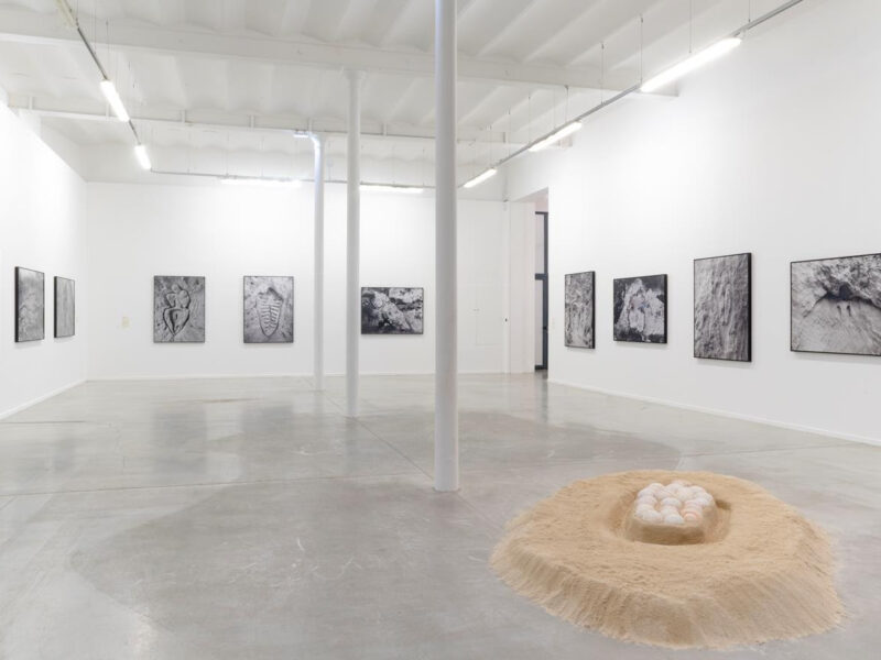 Ana Mendieta: Search for Origin at MO.CO. Panacée, Montpellier, France