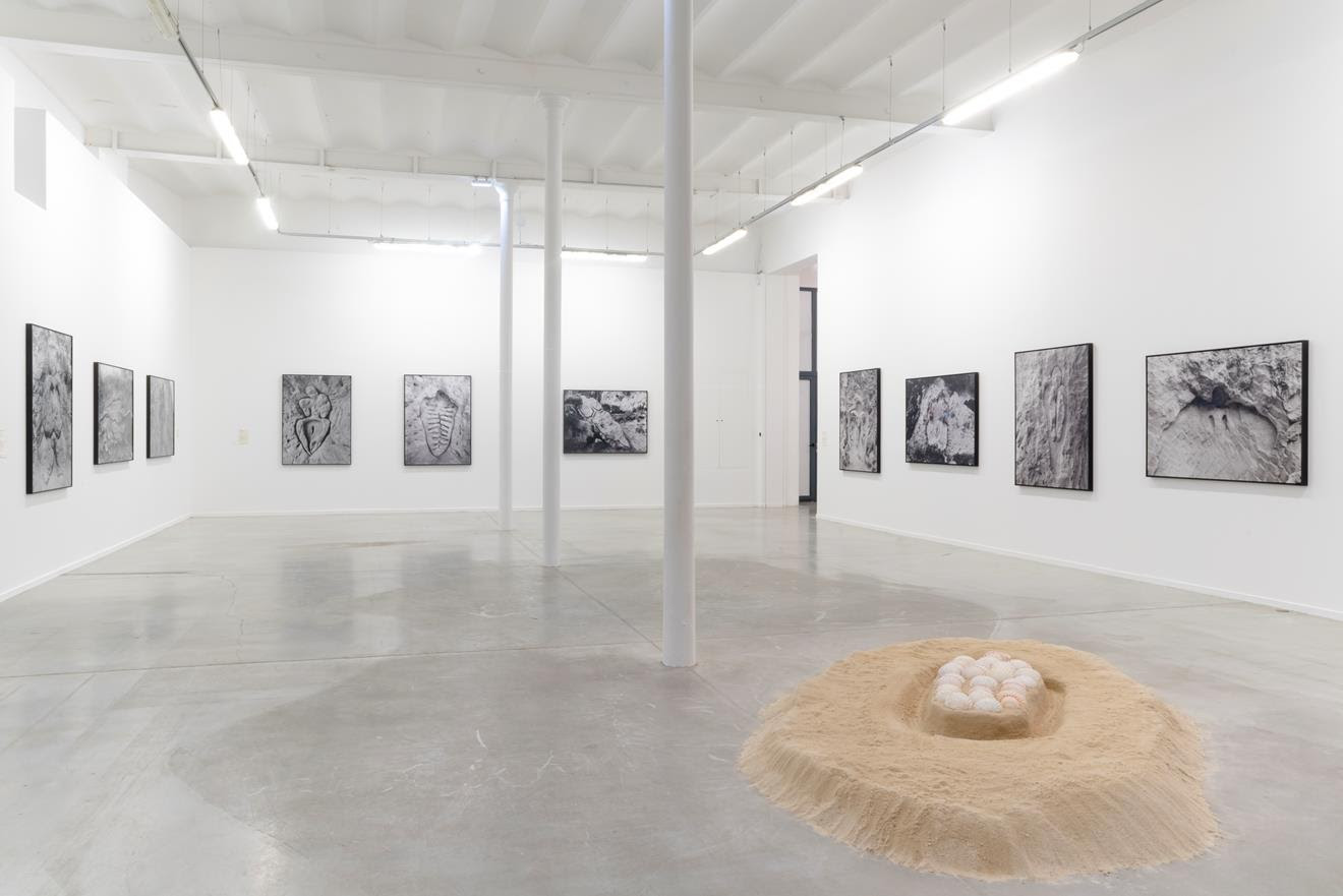 Ana Mendieta: Search for Origin at MO.CO. Panacée, Montpellier, France