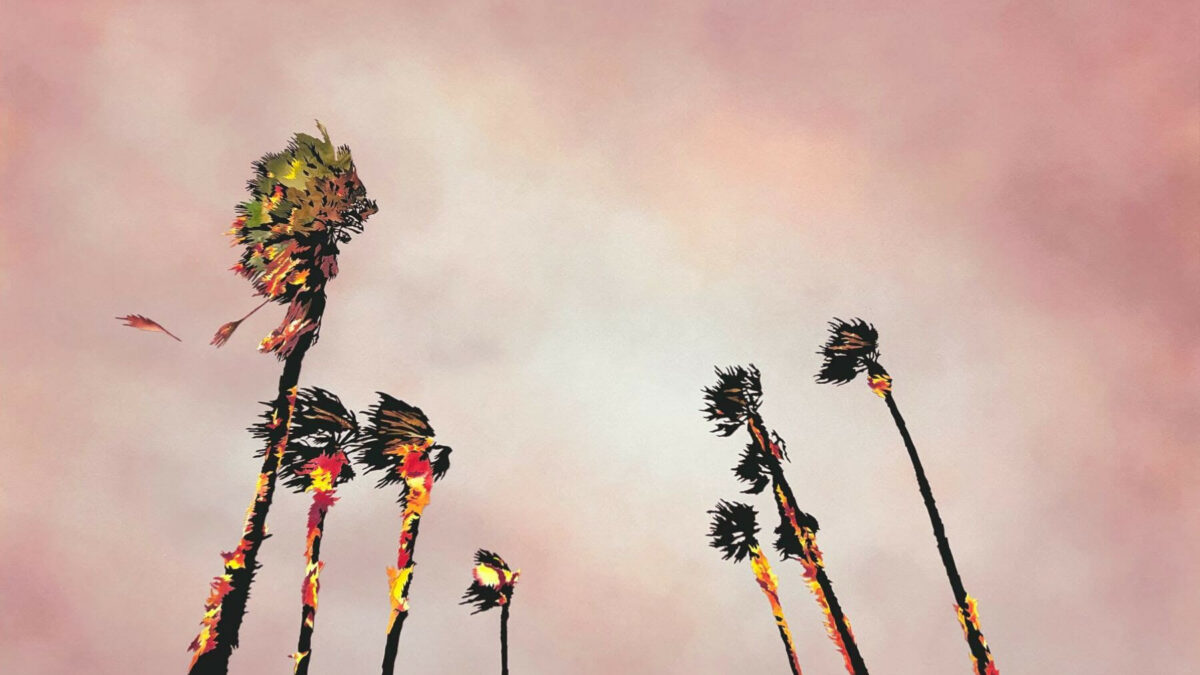 Francesca Gabbiani: Mutations. Wilding Cran Gallery