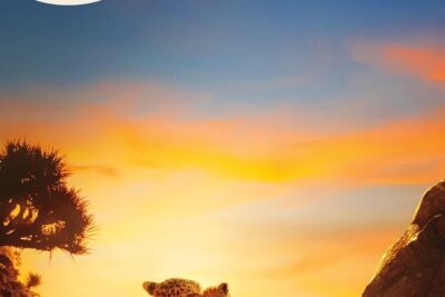 ‘Nuestro planeta II’ (2023) Serie documental en Netflix: el maravilloso viaje de la vida