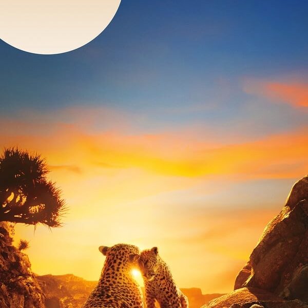 Notre planète II (2023) Série documentaire sur Netflix : le merveilleux voyage de la vie