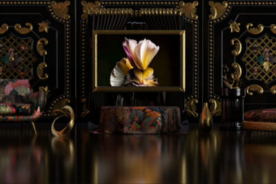 Christie’s and Gucci present Future Frequencies: Explorations in Generative Art and Fashion