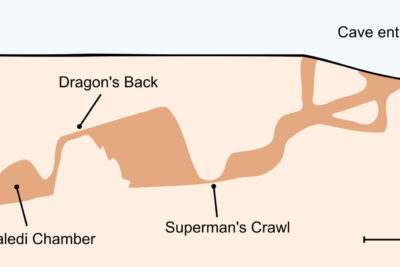 ホモ・ナレディ