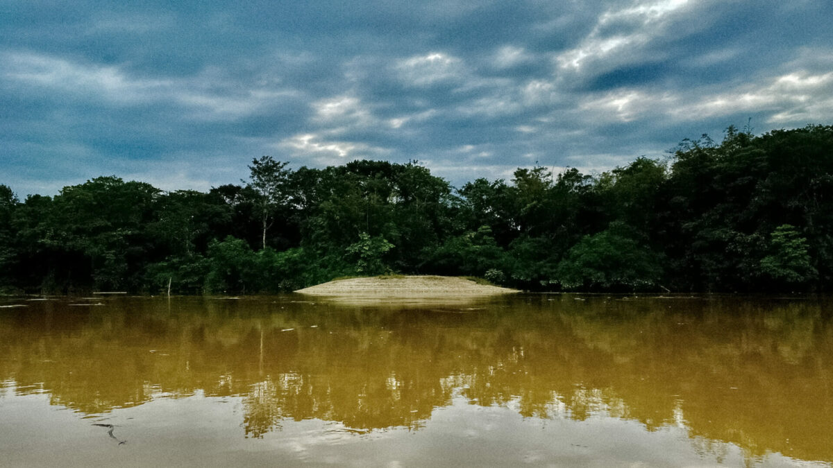Die Ausstellung Cuerpos de Agua und das Veranstaltungsprogramm Artistic Ecologies eröffnen am 17. und 18. Juni in der station urbaner kulturen/nGbK Hellersdorf