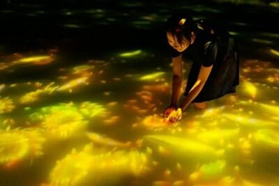 チームラボプラネッツ（東京・豊洲）、夏限定で【ひまわり】が咲き渡る世界に。2018年7月の開館以来、月間の訪日外国人来館者数が過去最高に。