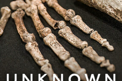 Unknown: La grotta della scoperta (2023) su Netflix – Recensione: Un documentario che fa riflettere