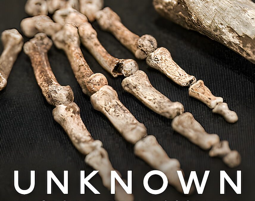 Unknown: La grotta della scoperta (2023) su Netflix – Recensione: Un documentario che fa riflettere