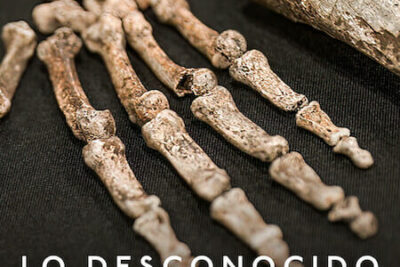 Lo desconocido: La cueva de los huesos (2023) Documental en Netflix sobre el Homo naledi